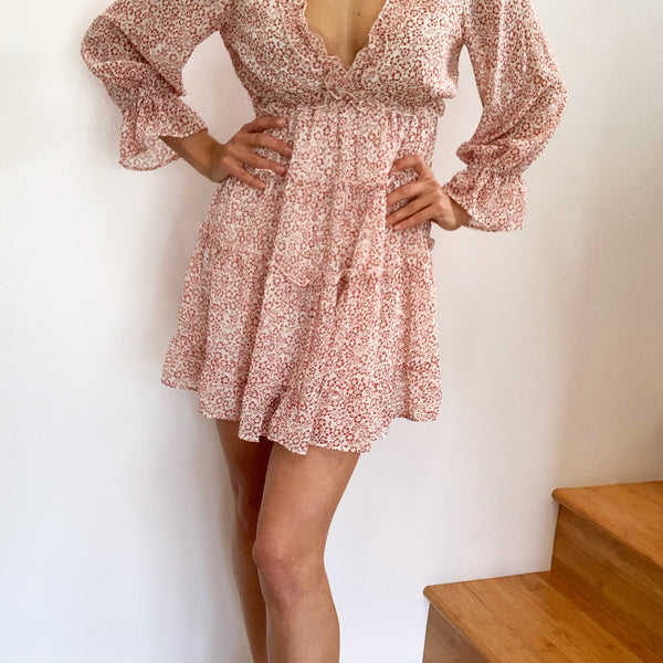 Carrizo Long Sleeve Mini Dress Brick